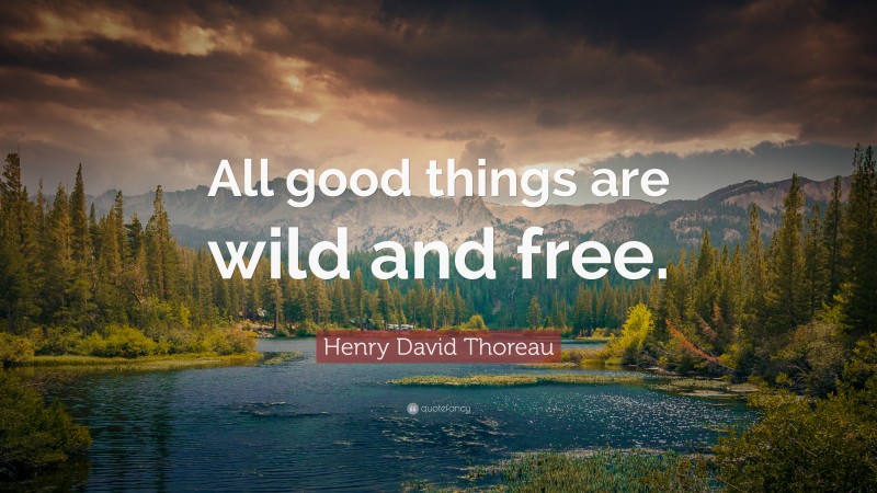 Nature Quotes: “All good things are wild and free.” — Henry David Thoreau