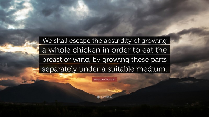 Winston Churchill Quote: “We shall escape the absurdity of growing a whole chicken in order to eat the breast or wing, by growing these parts separately under a suitable medium.”